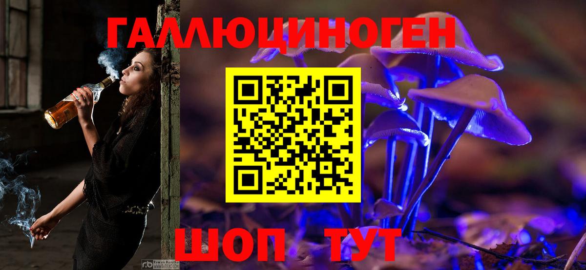 Саров  Галлюциногенные грибы MAGIC MUSHROOMS  купить   Вход с VPN  Псилоцибиновые грибы прущие грибы 