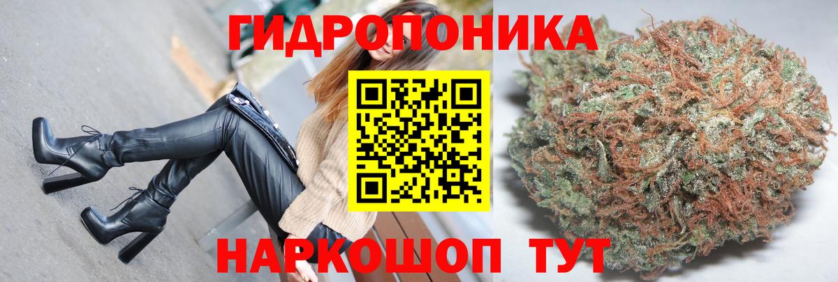 Бошки марихуана SATIVA & INDICA  МАРИХУАНА VHQ  Конопля SATIVA & INDICA  Вход с VPN  Саров  Марихуана конопля 